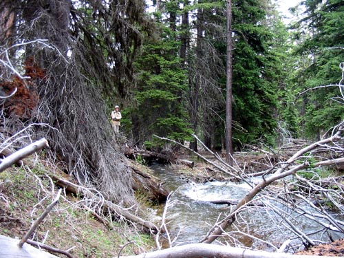 sluice diversion point