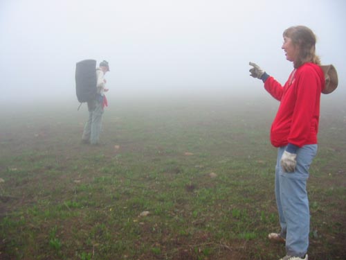 fog in a high meadow