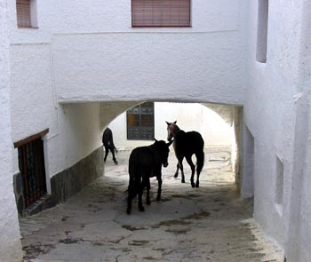 Trevelez