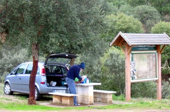 Tailgate picnic under a cork tree